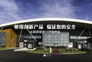 上海建網站公司成功簽約法國代福中國，助力企業數字化升級