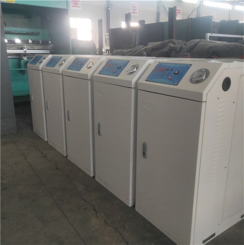 電蒸汽發(fā)生器 隆鑫熱能設備引領小型高效蒸汽發(fā)生器制造