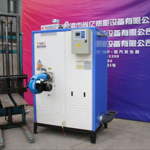 立浦熱能LWS0.2 0.7 Y Q燃氣蒸汽發(fā)生器 高效消毒與環(huán)保機電設備的卓越選擇